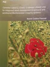 Tesi doctoral Noemí Codina
