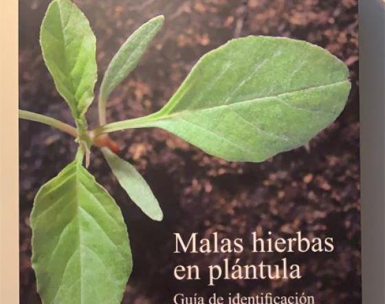 Portada del llibre: Malas hierbas en plántula. Guía de identificación